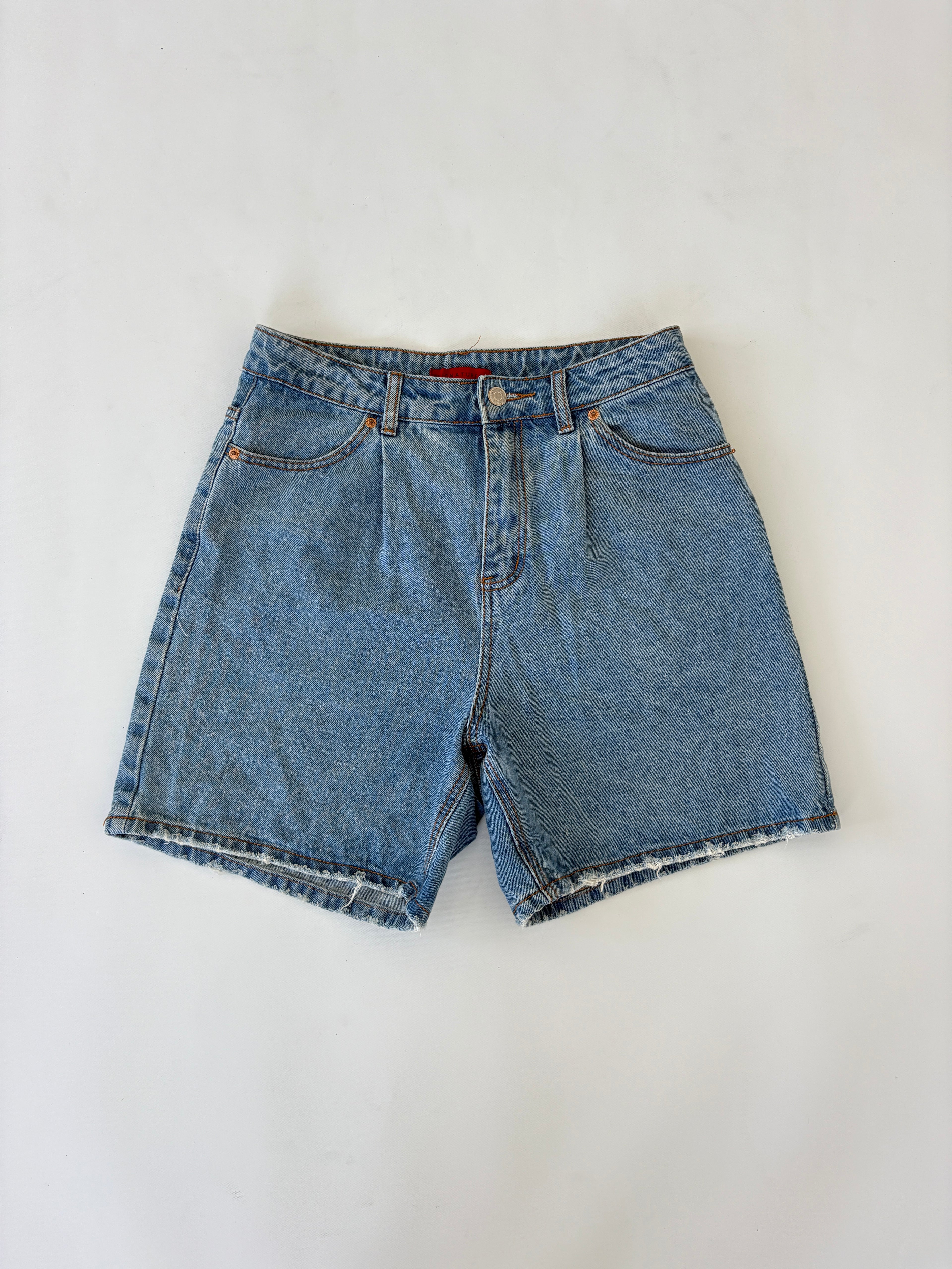 119 / Denim Jorts