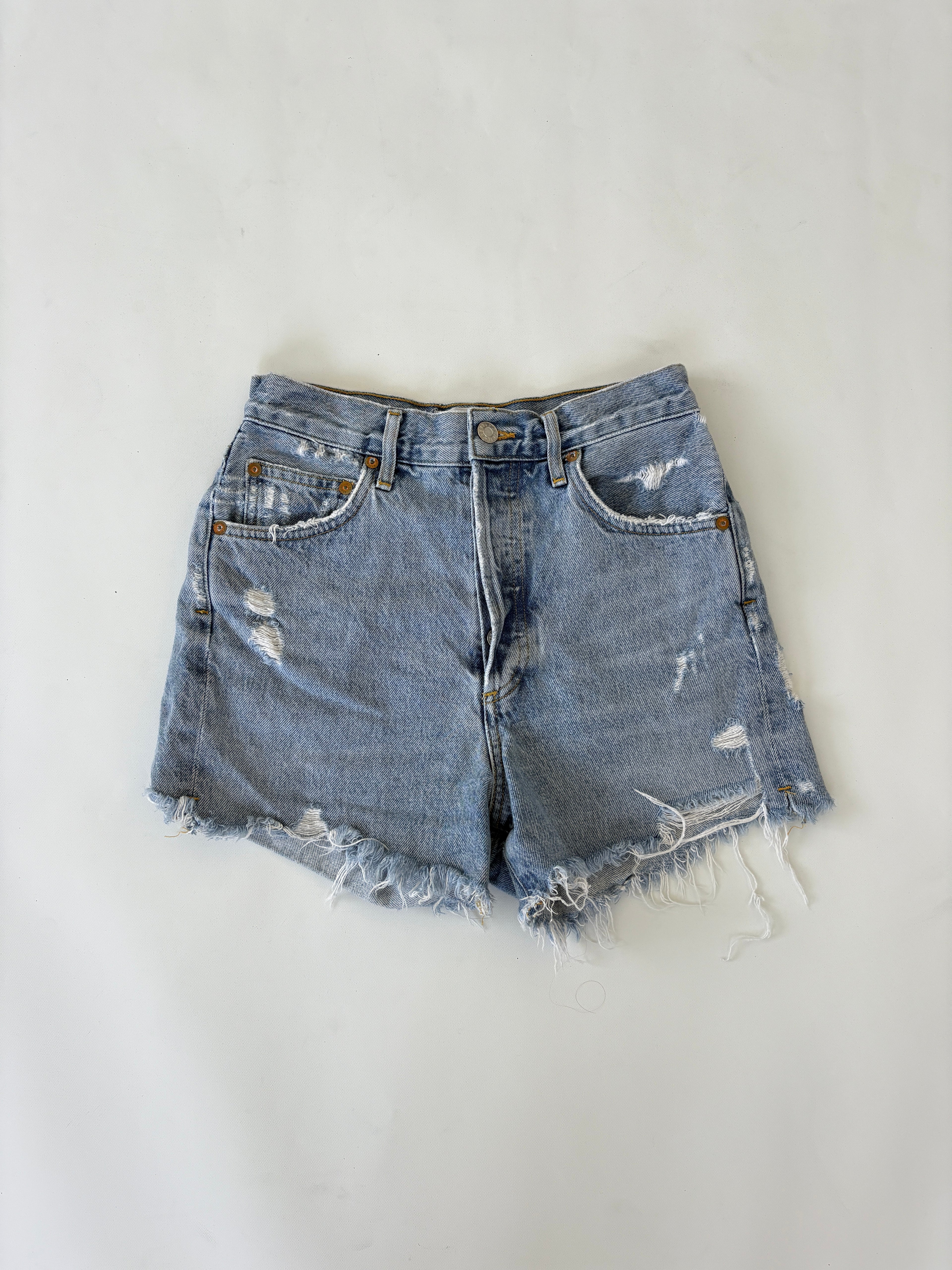 381 / Agolde Highrise Denim Shorts