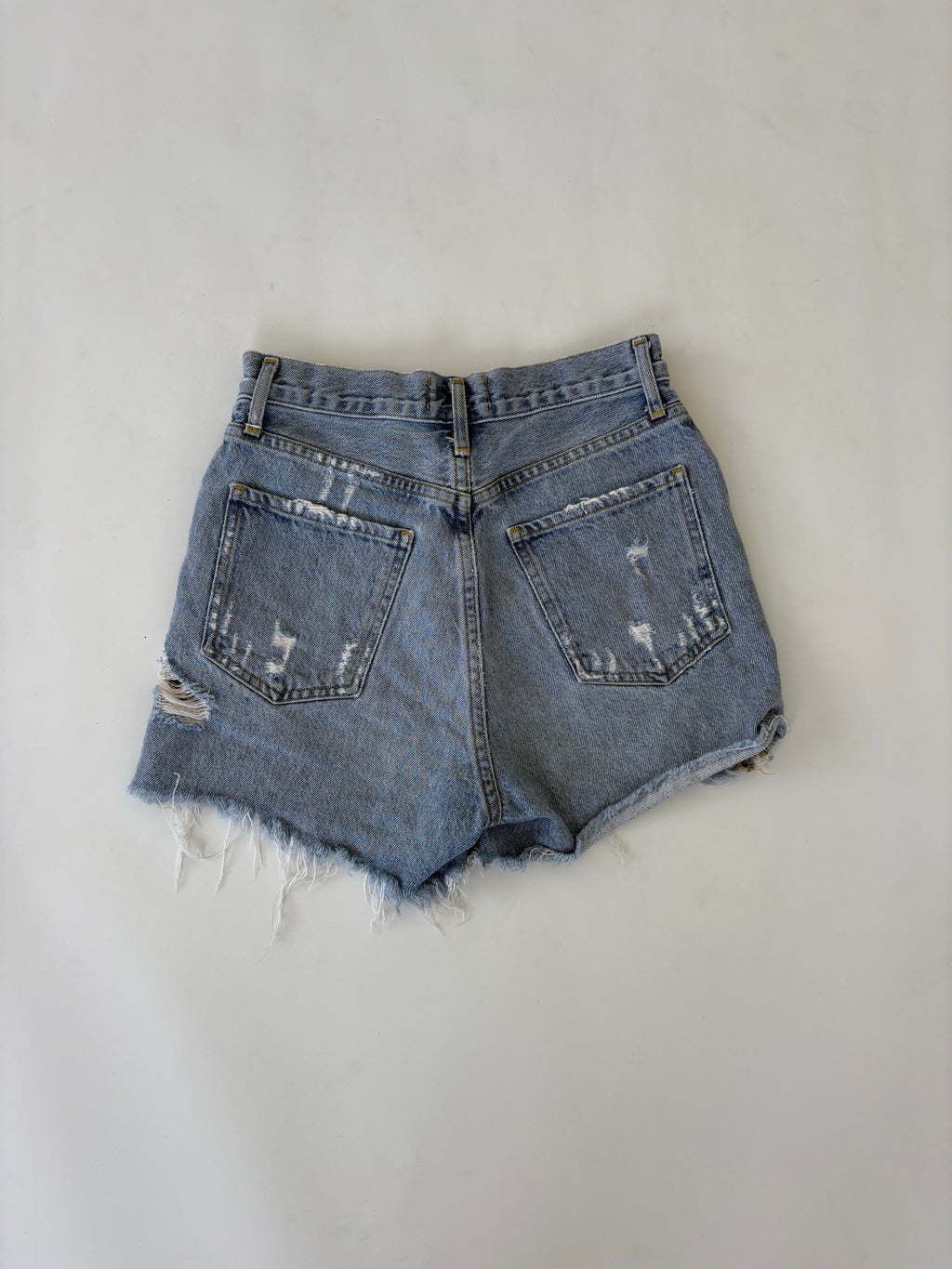 381 / Agolde Highrise Denim Shorts