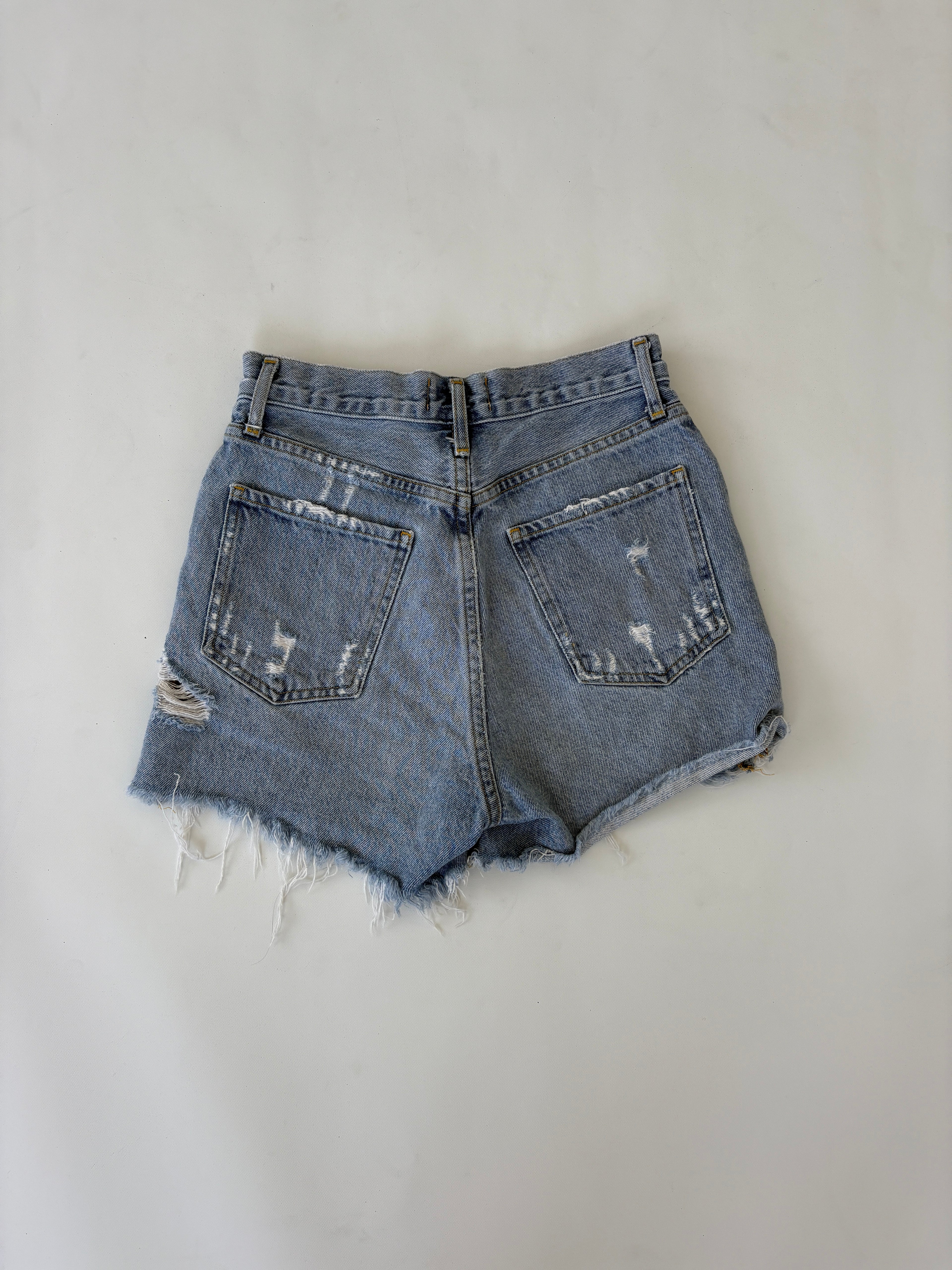 381 / Agolde Highrise Denim Shorts