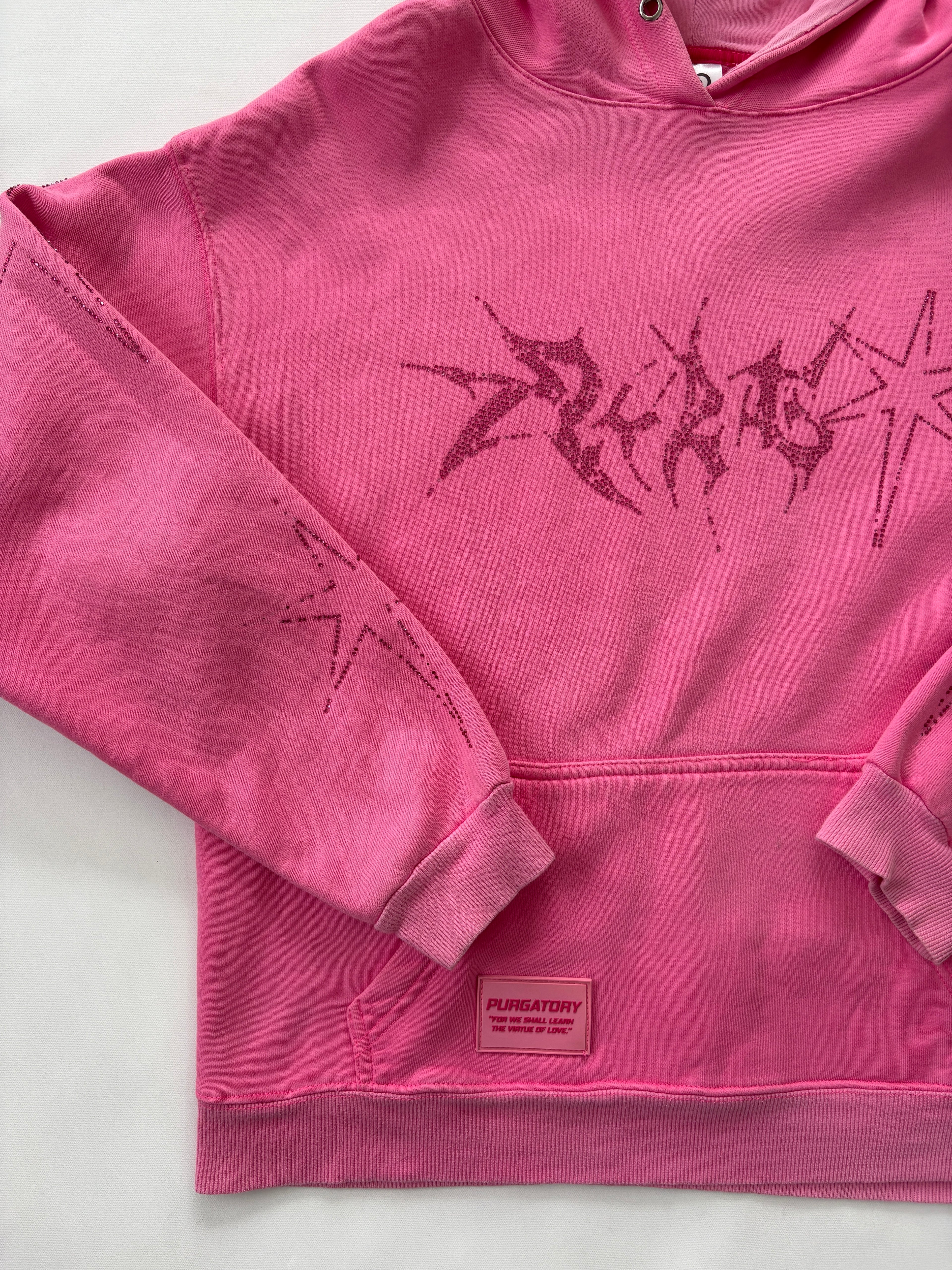 🔒 1170 / Pink Rhinestone Purgatory Hoodie